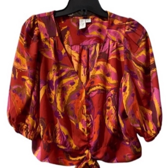 NWOT Joie Parsley Ballon VNeck Waits Tie Cropped Blouse Size M - Picture 6 of 12